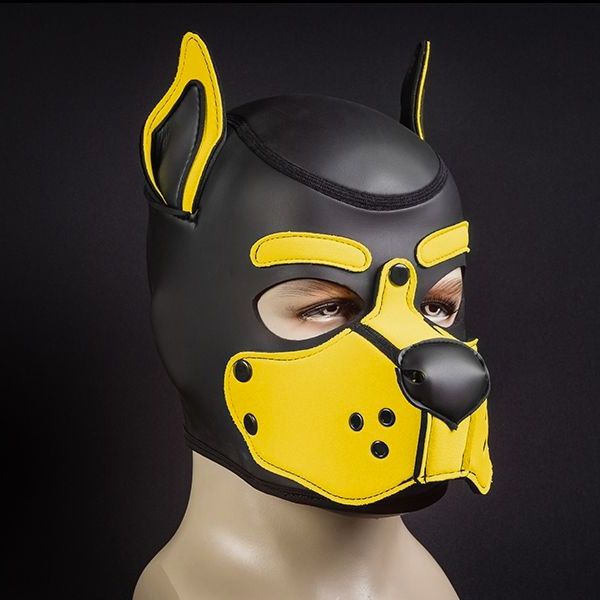 Mr S Leather Neoprene K9 Puppy Hood | Black/Yellow | L