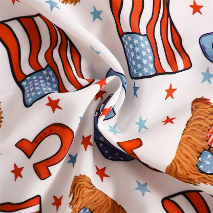 2pcs Baby Boy Independence Day Flag Print Bow Tie Shirt with Pant Set