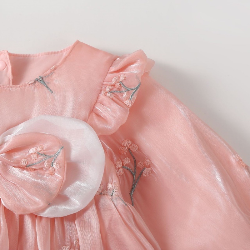 Baby Girl Long Sleeve Lily Section Embroidery Bow Mesh Dress with Hat