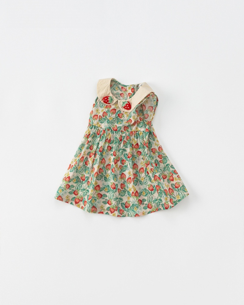 Baby Girl Floral Sleeveless Dress