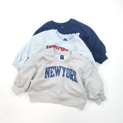 Pullover Sweatshirt and Trousers Two Piece Set