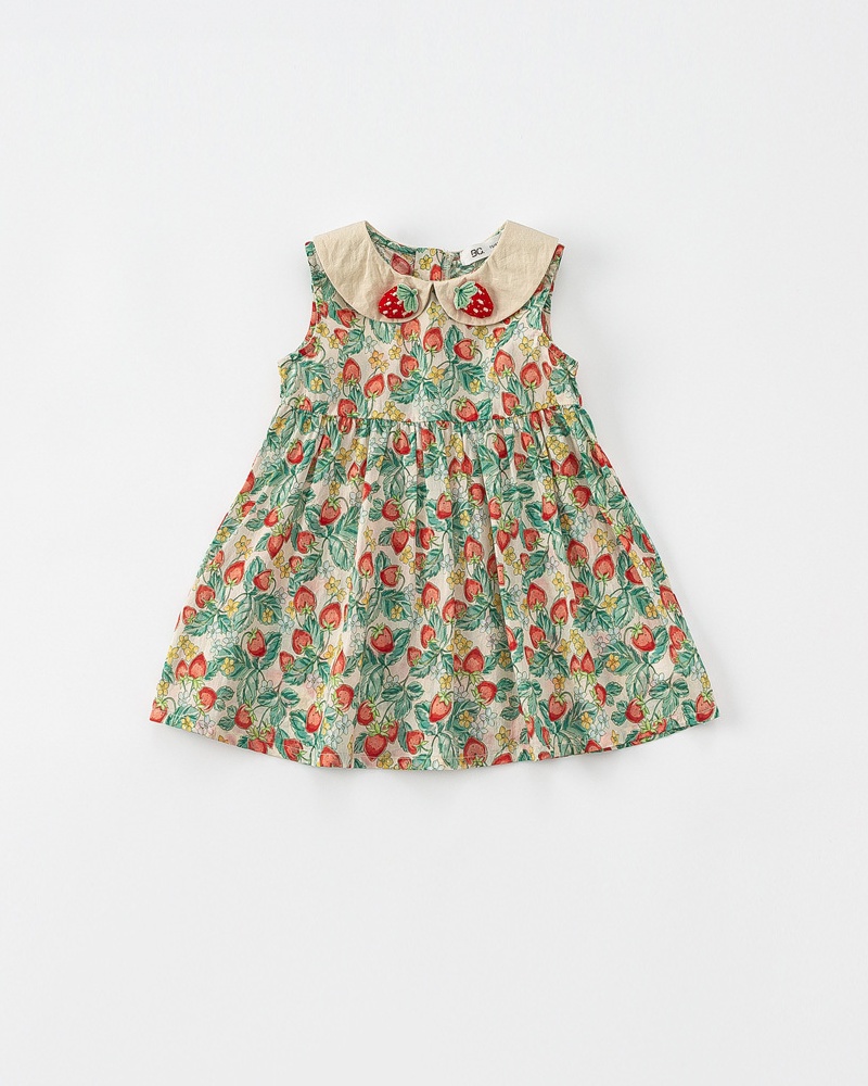 Baby Girl Floral Sleeveless Dress