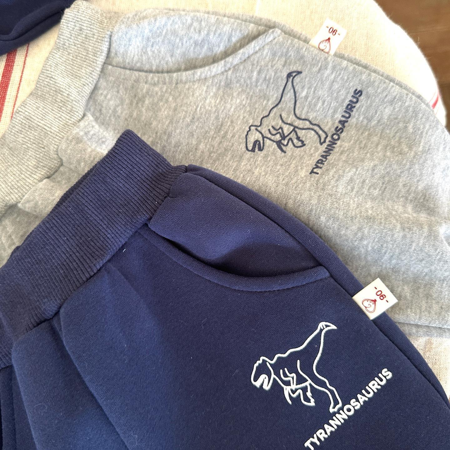2pcs Baby Dinosaur Sweatshirt and Pant Set