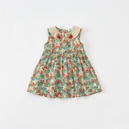 Baby Girl Floral Sleeveless Dress