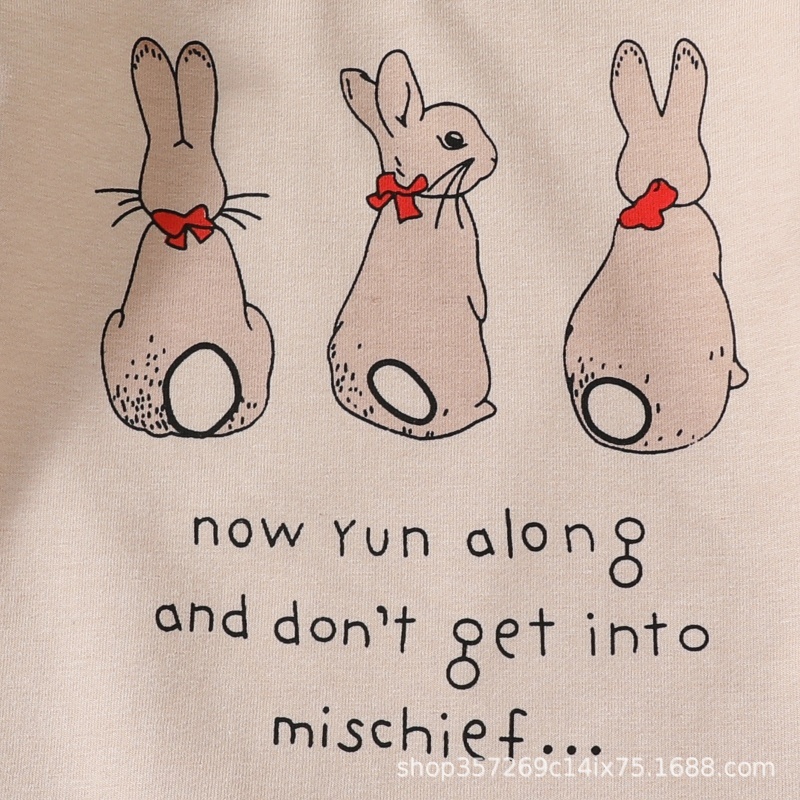 2pcs Baby Girl Cute Bunny Print Pullover Sweatshirt Long Sleeve Flared Pants Set