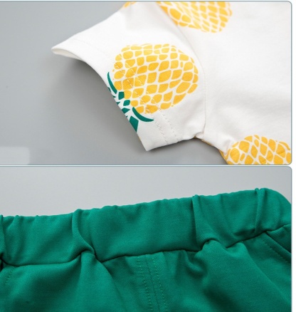 2pcs BabyBoy Fruit Pineapple T-shirt with Pant Set