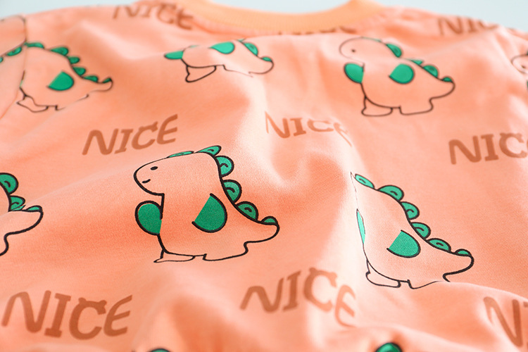 Allover Cartoon Dinosaur Pattern Two Piece Set-kissminis