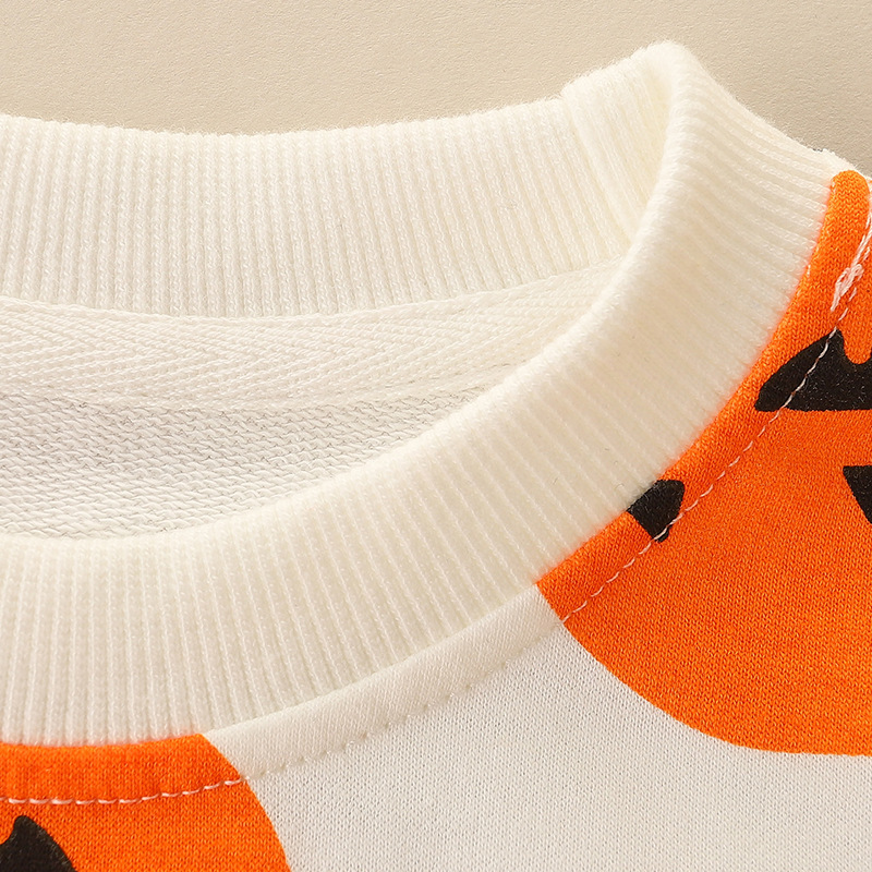 Toddler Boy/Girl Halloween Pumpkin Print Long Sleeve Round Collar Sweater-kissminis