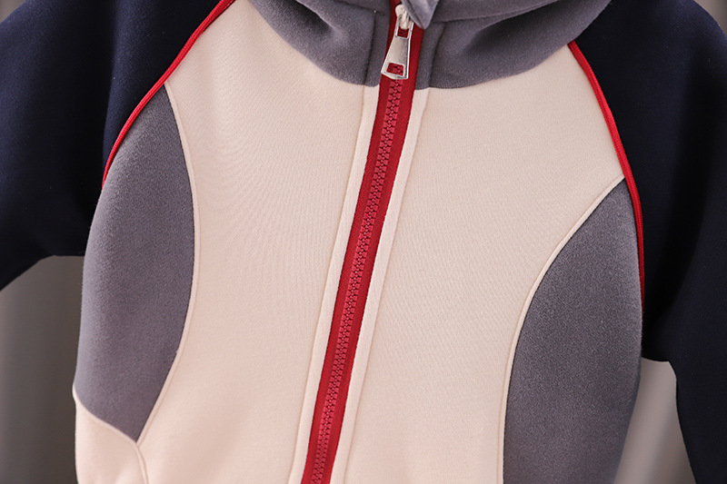 2pcs Toddler Boy Color Block Hooded Top and Pant Set