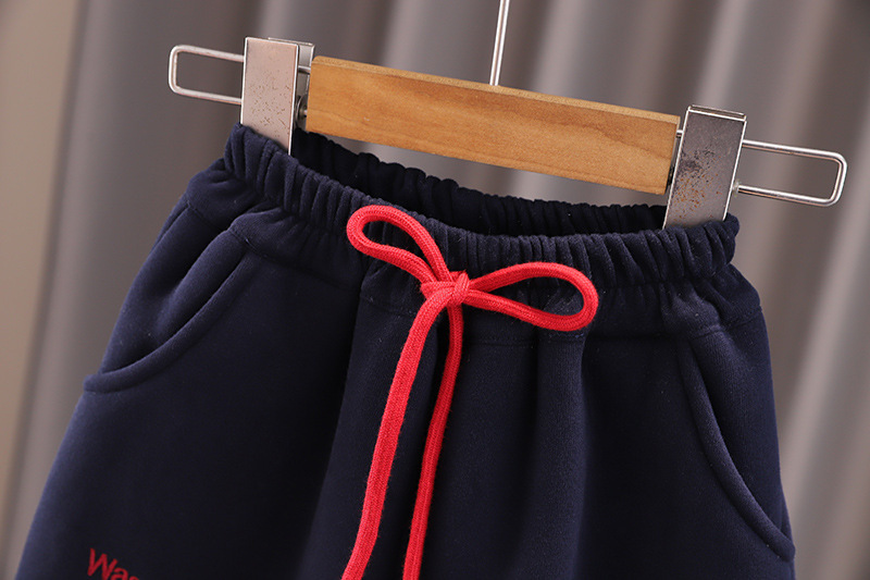 2pcs Toddler Boy Color Block Hooded Top and Pant Set