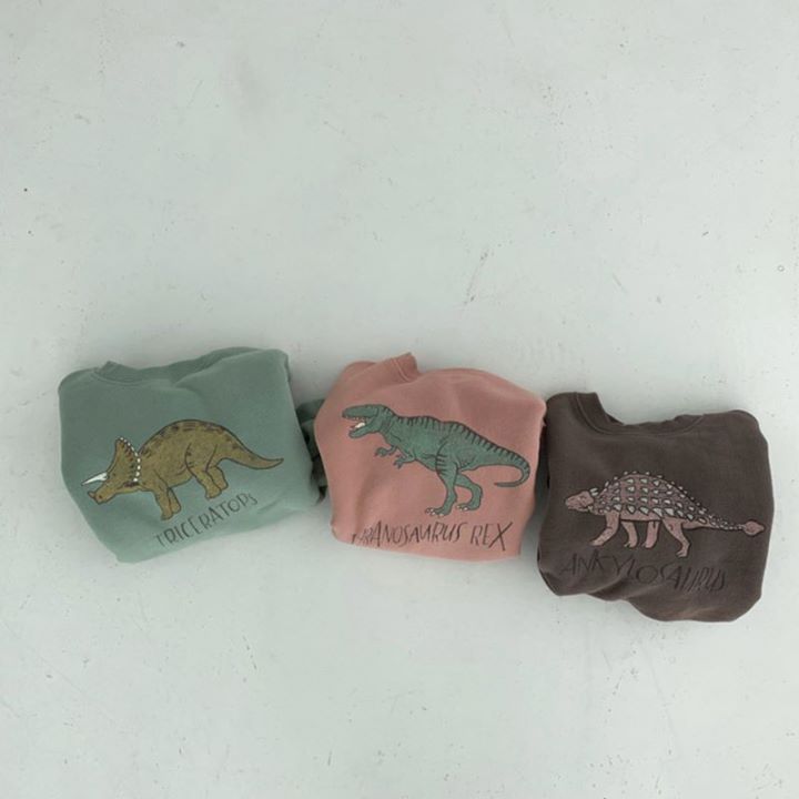 Baby Boy/Girl Dinosaur Pattern Ins Style Solid Color Long Sleeves Hooded Sweatshirt -kissminis