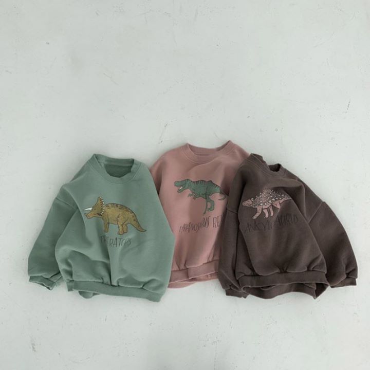 Baby Boy/Girl Dinosaur Pattern Ins Style Solid Color Long Sleeves Hooded Sweatshirt -kissminis