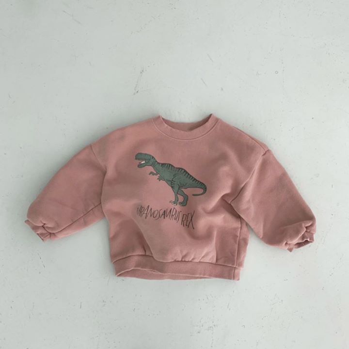 Baby Boy/Girl Dinosaur Pattern Ins Style Solid Color Long Sleeves Hooded Sweatshirt -kissminis