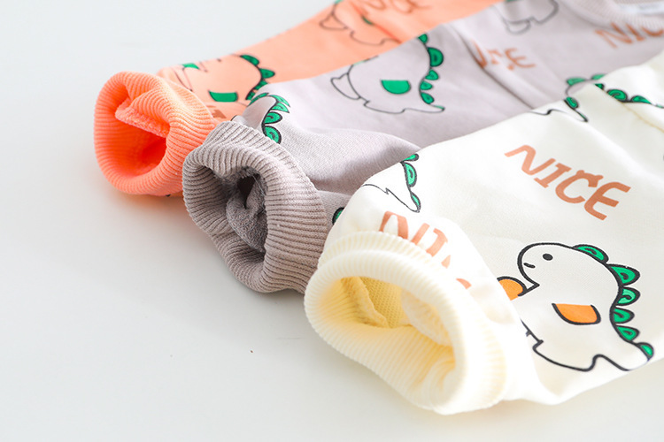 Allover Cartoon Dinosaur Pattern Two Piece Set-kissminis