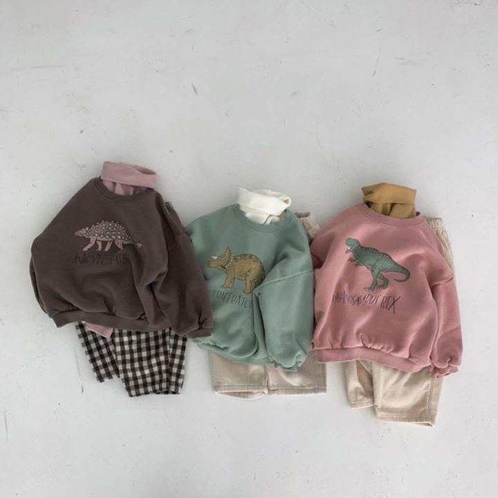 Baby Boy/Girl Dinosaur Pattern Ins Style Solid Color Long Sleeves Hooded Sweatshirt -kissminis