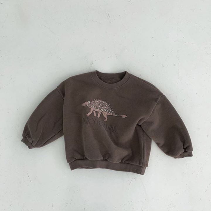 Baby Boy/Girl Dinosaur Pattern Ins Style Solid Color Long Sleeves Hooded Sweatshirt -kissminis