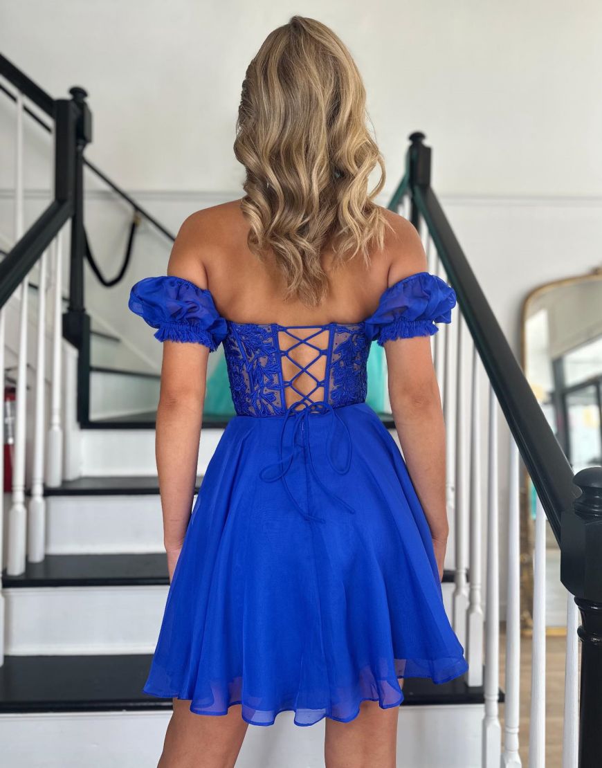 Off The Shoulder Lace And Tulle A-Line Homecoming Dress