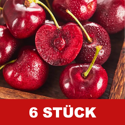 Importierte chilenische Chelsea-Samen