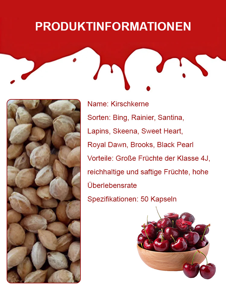 Vielseitige Kirschkerne mit hoher Überlebensrate