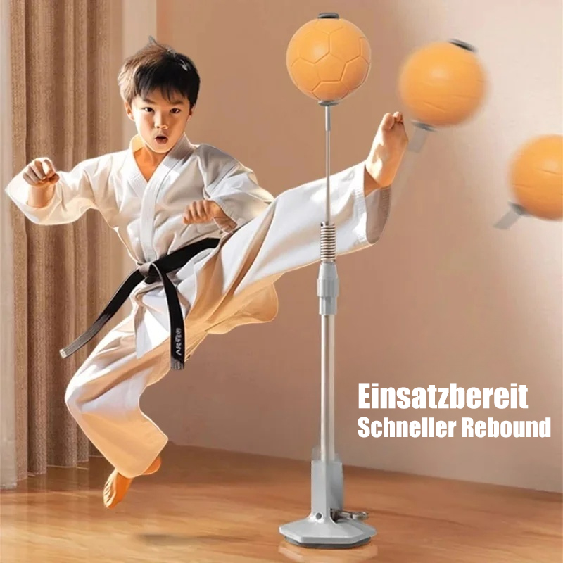 Vertikaler Boxen-Reaktionsball