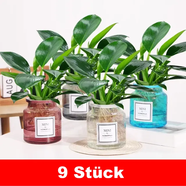 Nach Bestellmenge bestellen