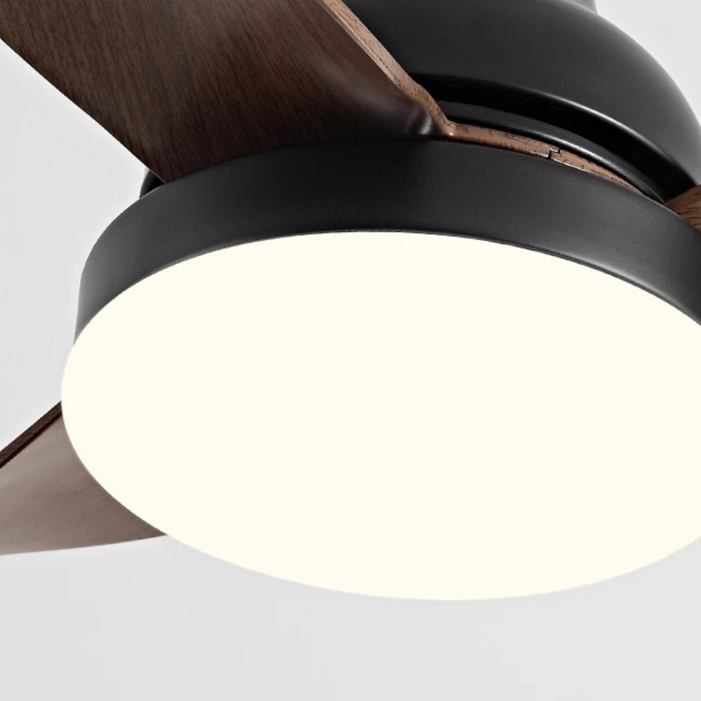 22'' Small Fan Bedroom Study Silent Ceiling Fan Light