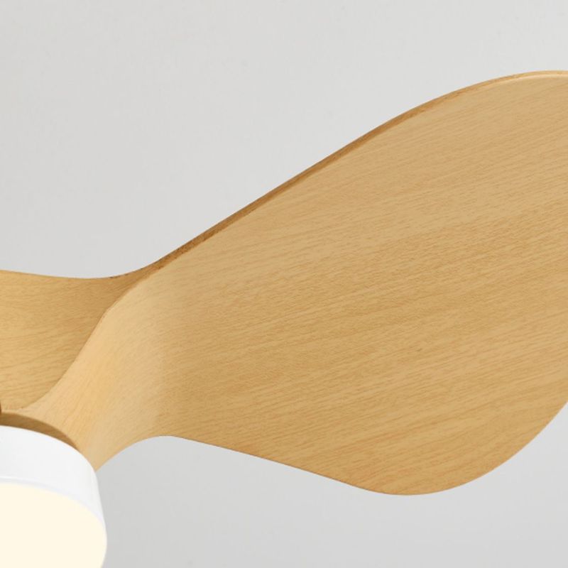 Metal Ceiling Fan Kid Style Single-Light 24''