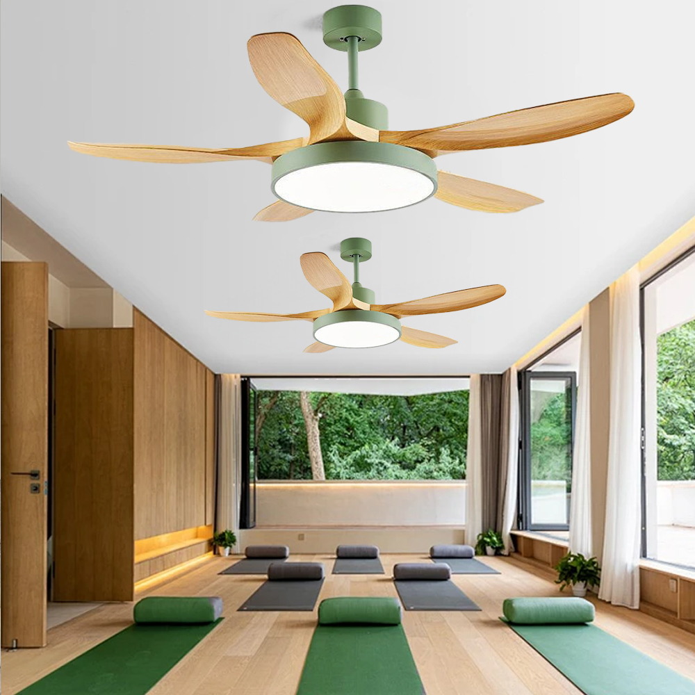 Large Five-leaf Ceiling Fan Light Full Spectrum LED Fan Light