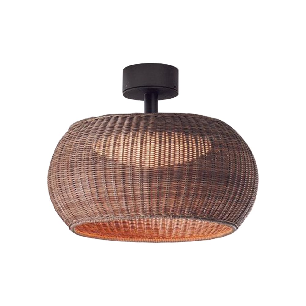 Outdoor Waterproof Rattan Ceiling Lampshade Porch Light