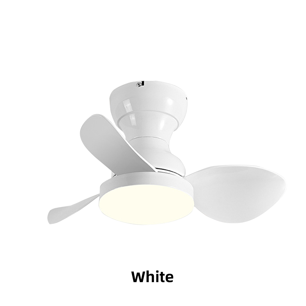 22'' Small Fan Bedroom Study Silent Ceiling Fan Light
