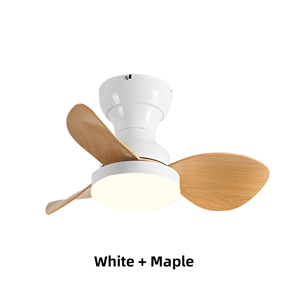 22'' Small Fan Bedroom Study Silent Ceiling Fan Light