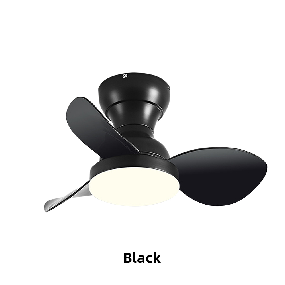 22'' Small Fan Bedroom Study Silent Ceiling Fan Light