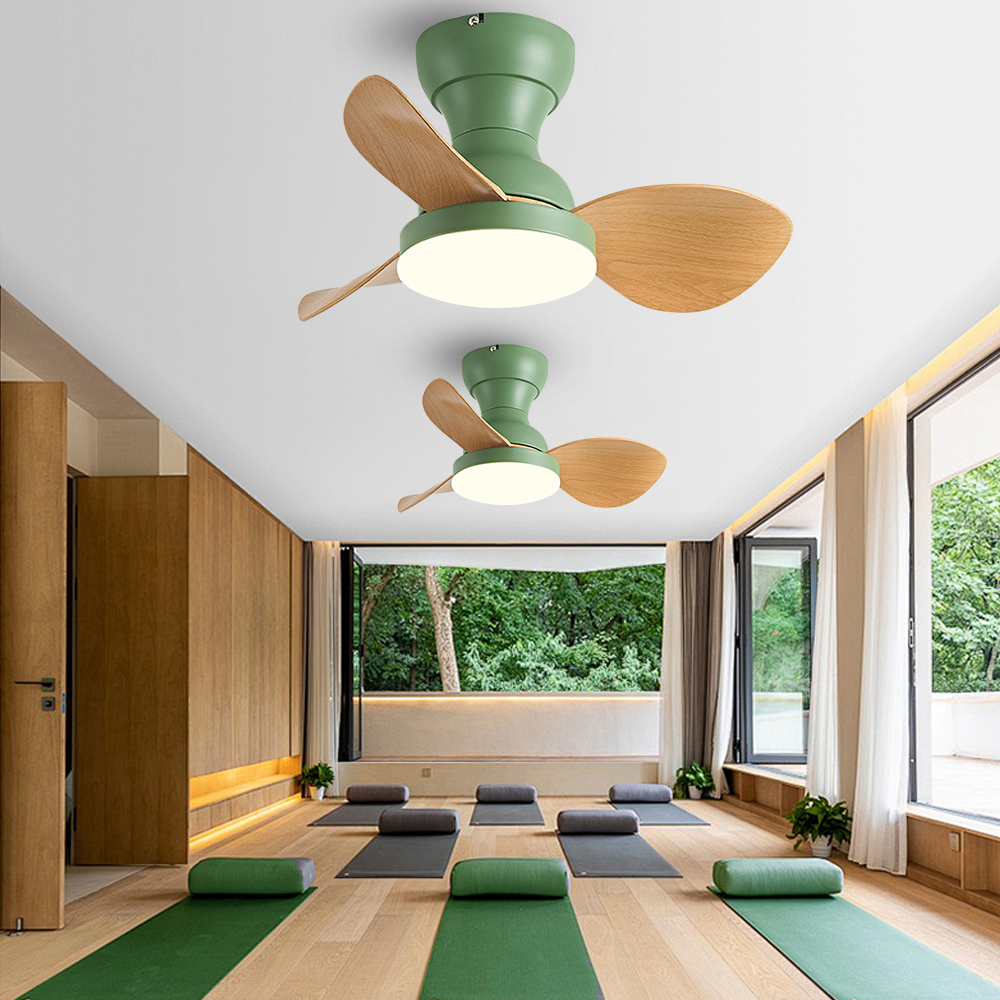 22'' Small Fan Bedroom Study Silent Ceiling Fan Light