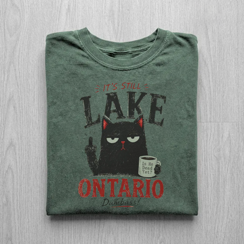 Its Still Lake Ontario T-shirt