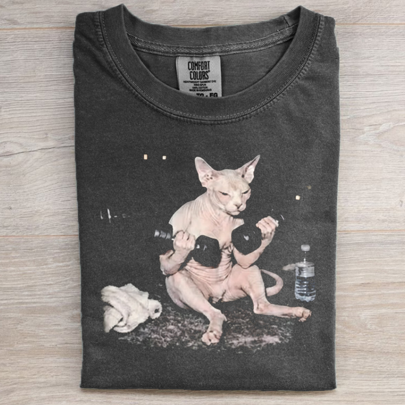 Sphynx Cat Workout Vintage Graphic T-shirt