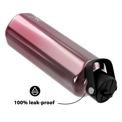 24oz hexagonal water bottle gradient pink silver