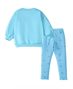 2-piece Girls Cartoon Embroidery Cotton Plush Sweatshirt and Pants Set
