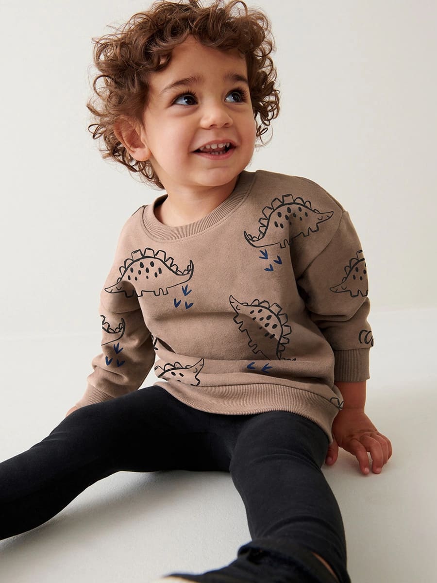 2-piece Kid Boys Dinosaur Print Cotton Sweatshirt and Pants Set