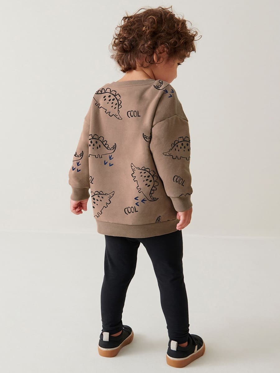 2-piece Kid Boys Dinosaur Print Cotton Sweatshirt and Pants Set
