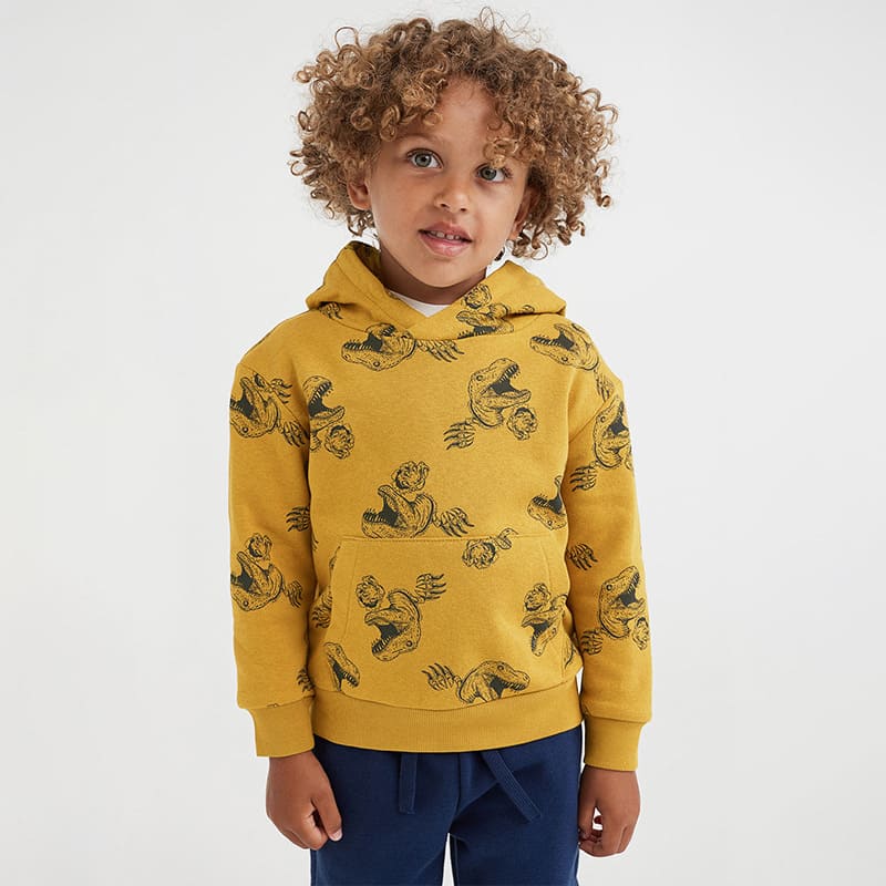 Kid Boys Dinosaur Style Warm Fleece Long Sleeve Hooded Sweatshirt