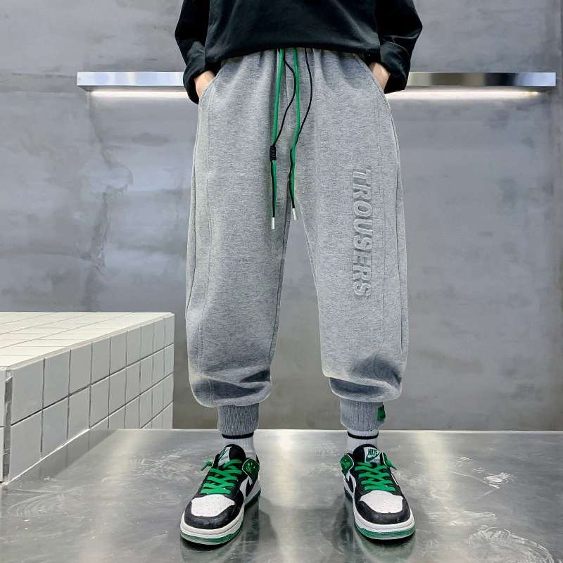Little Maven boys low-rise fleece pants