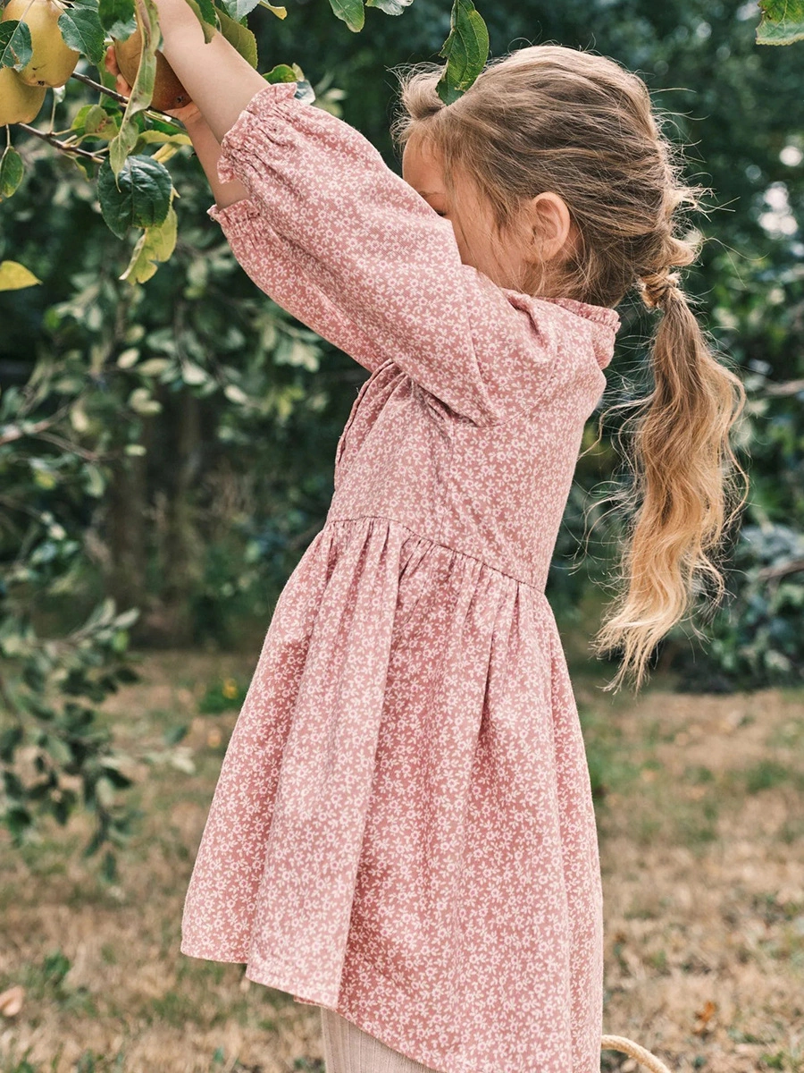 Little Maven Cotton long sleeve princess dress for kids
