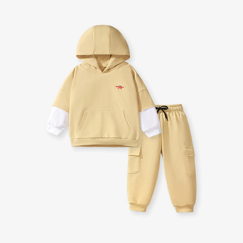 Toddler/Kid Boy 2pcs Dinosaur Embroidered Logo Hoodie and Pants Set