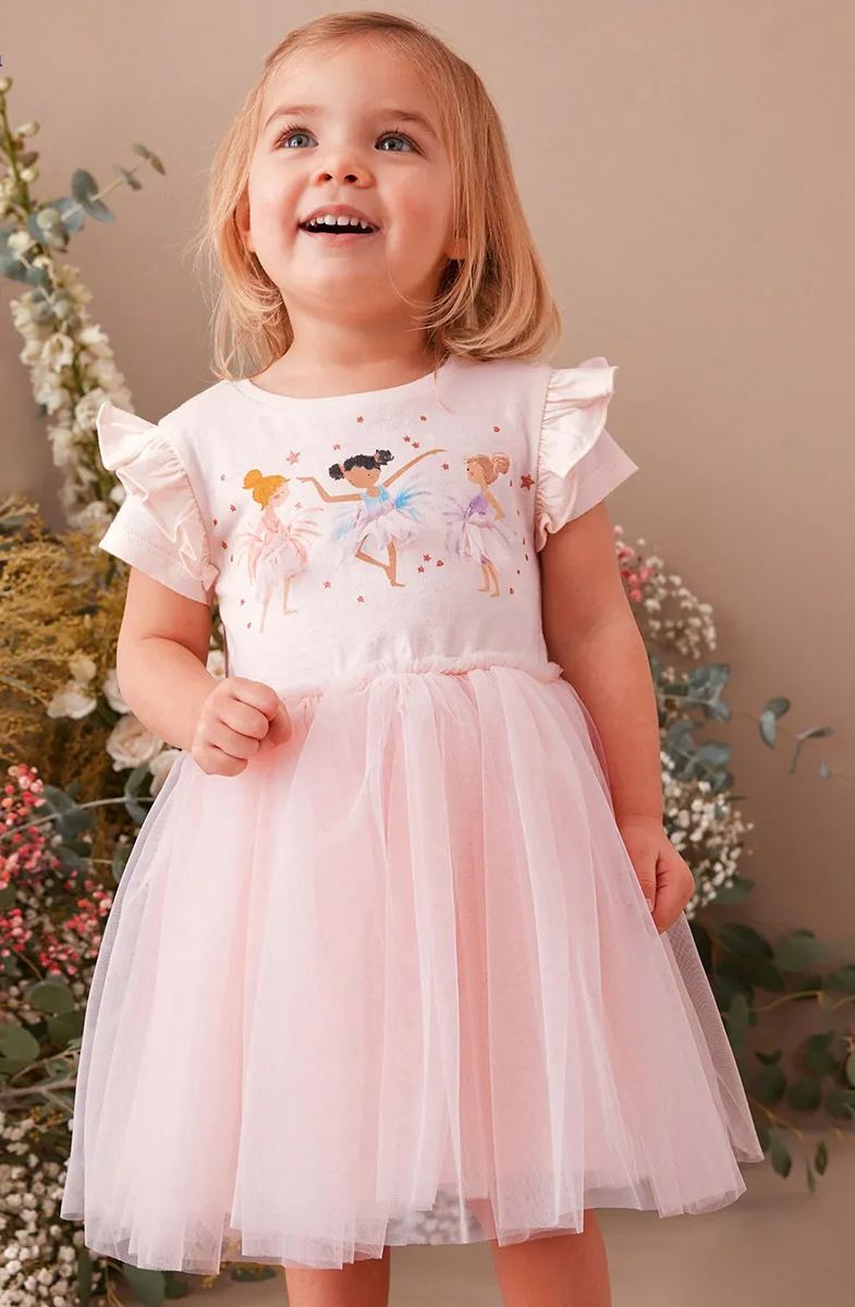 Little Maven Toddler/Kid Girls Character Print Embroidered Mesh Dress