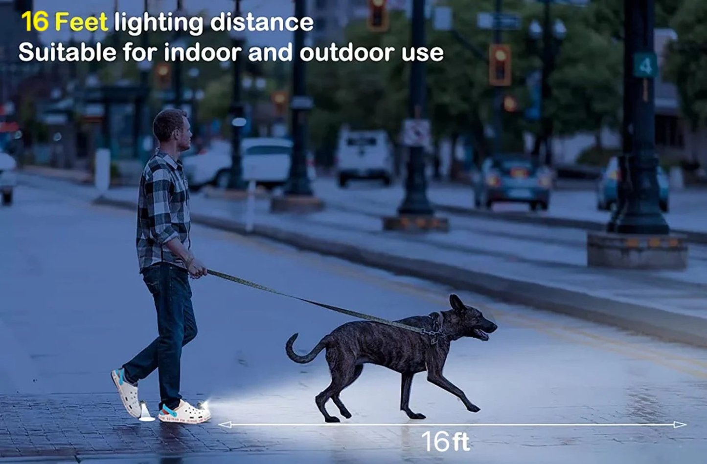 Crocodile Shoes Headlight