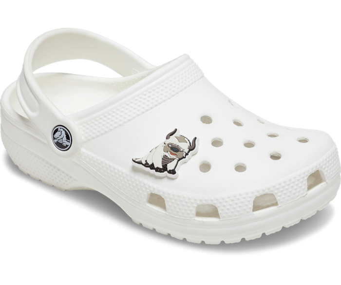 THE LAST AIRBENDER APPA