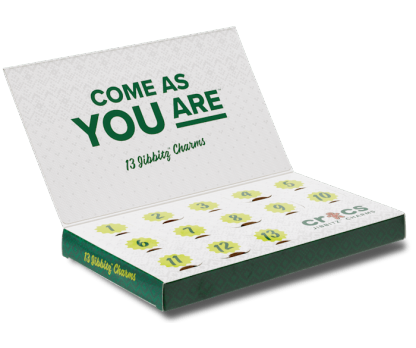 WINTER WONDERLAND 13 PACK