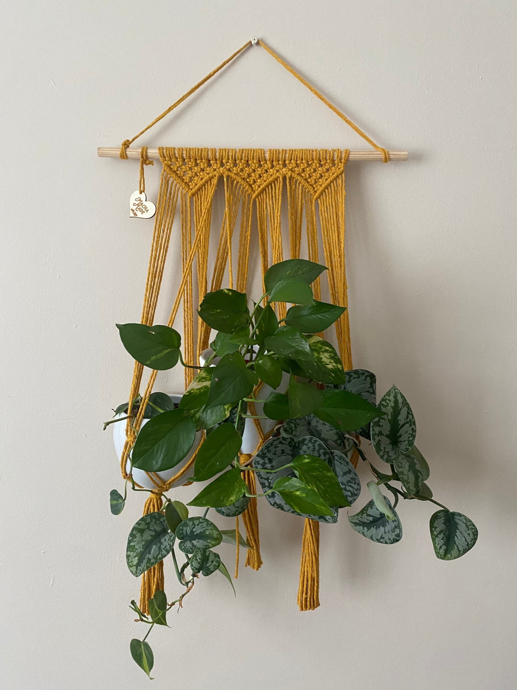 Mustard triple macrame plant holder, multiple plant hanger, wall plant hanger, plant wall decor hanger, indoor wall planter,houseplant decor