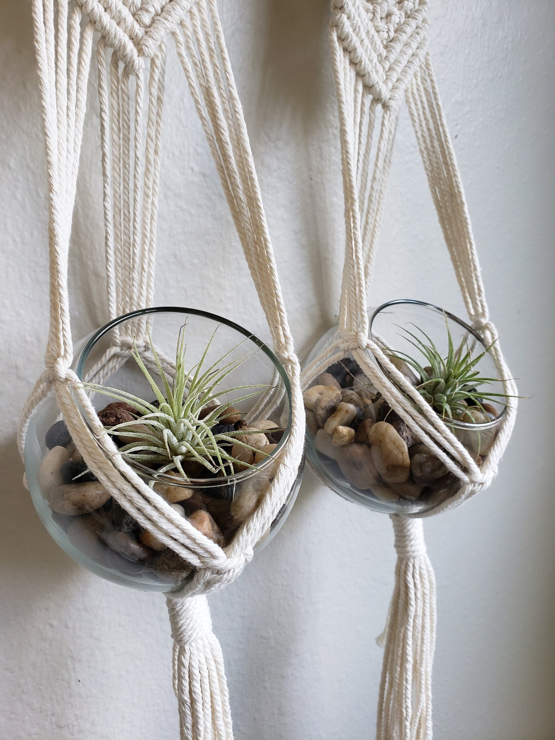 Double Driftwood Air Plant Macrame Hanger - Handcrafted Holder for Air Plants - Air Plant Terrarium - Boho Home Décor - Gift for Plant Lover