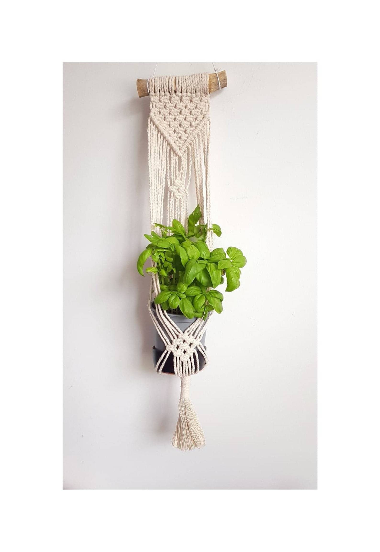 Macrame Plant Hanger,Indoor Hanging Planter,Macrame Plant Holder,Cotton Hanging,houseplant botanical style,Minimalist Planter,Boho Home